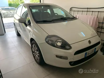 Usata Fiat Punto 69 CV (50 kW) 2014 Bianco Utilitaria