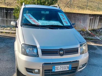 Usata Fiat Panda 4x4 69 CV (50 kW) 2007 Utilitaria