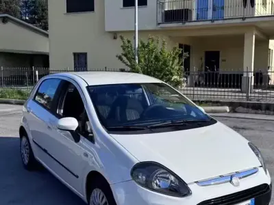 Usata Fiat Punto 75 CV (55 kW) 2011 Bianco Utilitaria
