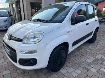 Usata Fiat Panda Easy 84 CV (61 kW) 2015 Bianco Utilitaria