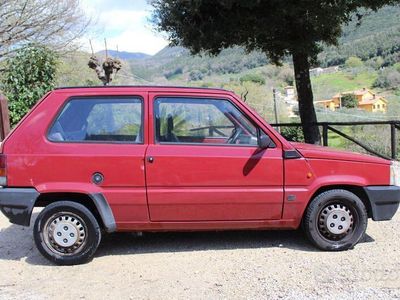 usata Fiat Panda 900