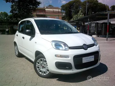 Usata Fiat Panda Easy 69 CV (50 kW) 2020 Bianco Utilitaria