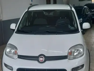Usata Fiat Panda Cross Cross 70 CV (51 kW) 2021 Bianco Utilitaria