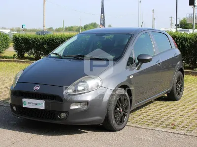Usata Fiat Punto Lounge 95 CV (69 kW) 2017 Grigio Utilitaria