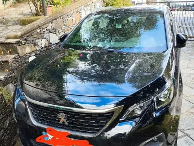 Usata Peugeot 3008