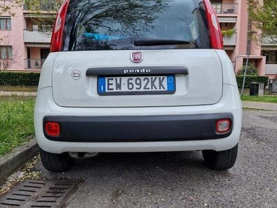 usata Fiat Panda 3ª serie - 2014