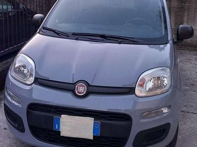 Usata Fiat Panda Easy 69 CV (50 kW) 2020 Grigio Utilitaria