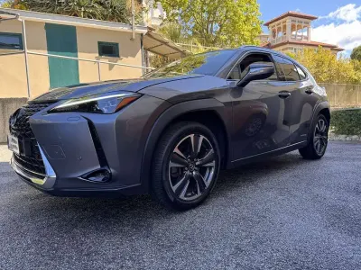 Usata Lexus UX 250h Luxury Line 184 CV (135 kW) 2019 Grigio SUV