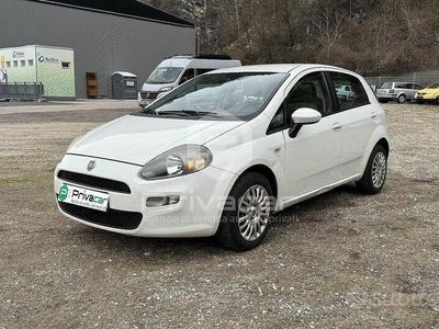 usata Fiat Punto 1.4 S&S 8V 5 porte Pop