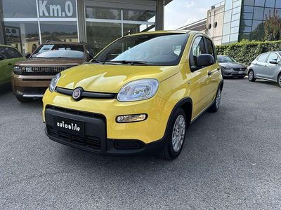 Usata Fiat Panda S 69 CV (50 kW) 2024 Giallo Utilitaria