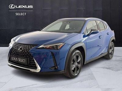 Usata Lexus UX 300h