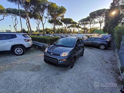 Usata Fiat Panda City Life 70 CV (51 kW) 2022 Grigio Utilitaria