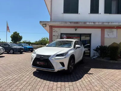 Usata Lexus NX300h Luxury Line 155 CV (114 kW) 2019 Bianco SUV