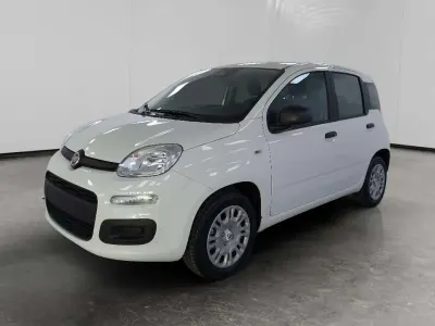 Nuova Fiat Panda Icon 70 CV (51 kW) 2025 Bianco Utilitaria