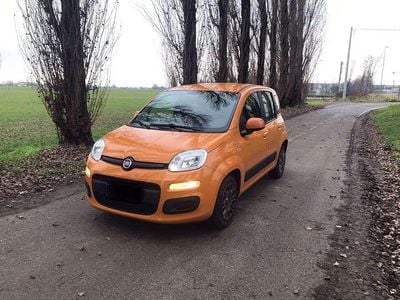 Usata Fiat Panda City Life 69 CV (50 kW) 2021 Utilitaria