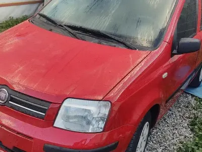 Usata Fiat Panda Dynamic 60 CV (44 kW) 2009 Rosso Utilitaria