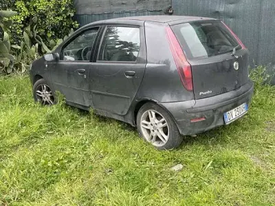 Usata Fiat Punto 69 CV (50 kW) 2009 Utilitaria