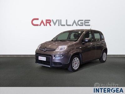 Usata Fiat Panda S 70 CV (51 kW) 2023 Grigio Utilitaria