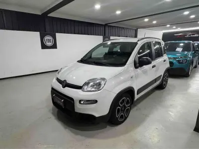 Usata Fiat Panda Sport 69 CV (50 kW) 2022 Metallizzato Utilitaria