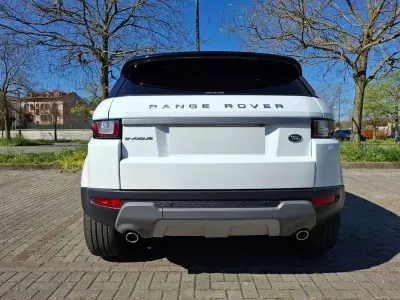 Usata Land Rover Range Rover evoque SE 150 CV (110 kW) 2016 Bianco SUV