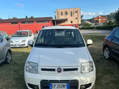 Usata Fiat Panda 4x4 Climbing 75 CV (55 kW) 2012 Bianco Utilitaria