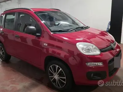 Usata Fiat Panda 85 CV (62 kW) 2014 Rosso Utilitaria