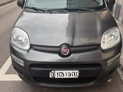 Usata Fiat Panda Easy 69 CV (50 kW) 2019 Grigio Utilitaria