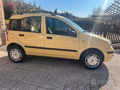 Usata Fiat Panda 80 CV (58 kW) 2008 Giallo Utilitaria