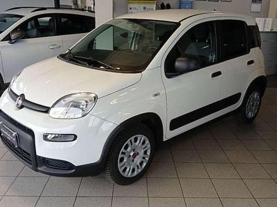 Usata Fiat Panda Street 69 CV (50 kW) 2021 Bianco Utilitaria