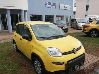 Usata Fiat Panda S 69 CV (50 kW) 2024 Giallo Utilitaria