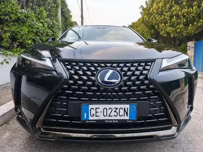 Usata Lexus UX 250h
