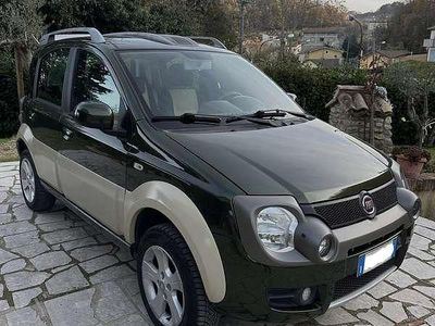 Usata Fiat Panda Cross Cross 69 CV (50 kW) 2010 Verde Utilitaria