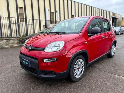 Usata Fiat Panda S 69 CV (50 kW) 2024 Rosso Utilitaria