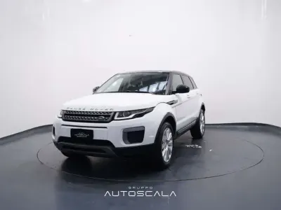 Usata Land Rover Range Rover evoque Pure 150 CV (110 kW) 2017 Fujii white / tetto nero SUV