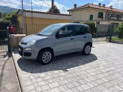Usata Fiat Panda 85 CV (62 kW) 2018 Grigio Utilitaria