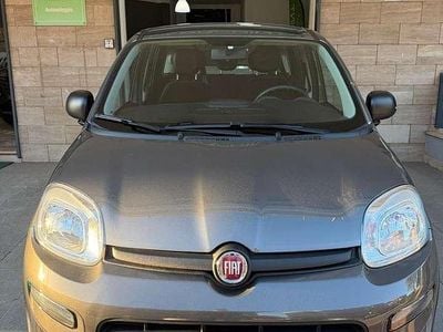 Usata Fiat Panda S 69 CV (50 kW) 2023 Grigio Utilitaria