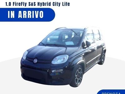usata Fiat Panda 3ª serie 1.0 FireFly S&S Hybrid City Life