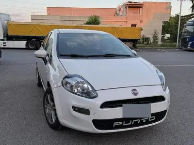 Usata Fiat Punto 75 CV (55 kW) 2015 Bianco Utilitaria