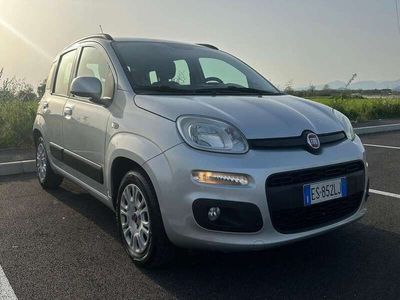 usata Fiat Panda 1.2 69cv NEOPATENTATI