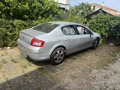 Usata Peugeot 407