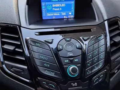 Usata Ford Fiesta Titanium 75 CV (55 kW) 2015 Marrone Utilitaria