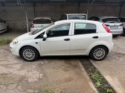 Usata Fiat Punto Lounge 69 CV (50 kW) 2015 Bianco Utilitaria