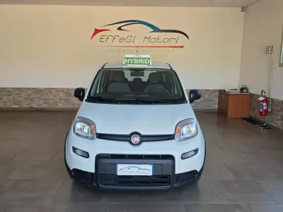 Usata Fiat Panda 69 CV (50 kW) 2023 Bianco Utilitaria