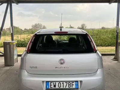 Usata Fiat Punto Evo Active 69 CV (50 kW) 2014 Utilitaria
