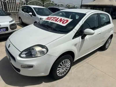 Usata Fiat Punto Easy 77 CV (56 kW) 2013 Bianco Utilitaria