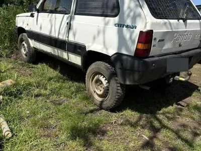 Usata Fiat Panda 4x4