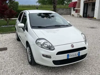 Usado Fiat Punto Lounge 77 CV (56 kW) 2015 Utilitario