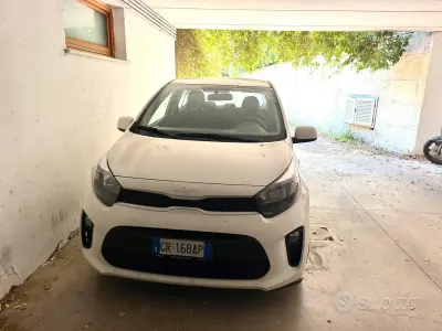 Usata Kia Picanto 67 CV (49 kW) 2023 Bianco Utilitaria