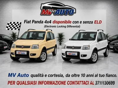 Usata Fiat Panda 4x4 Climbing 75 CV (55 kW) 2012 Giallo Utilitaria