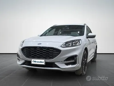 Usata Ford Kuga ST-Line X 152 CV (111 kW) 2024 Grigio SUV